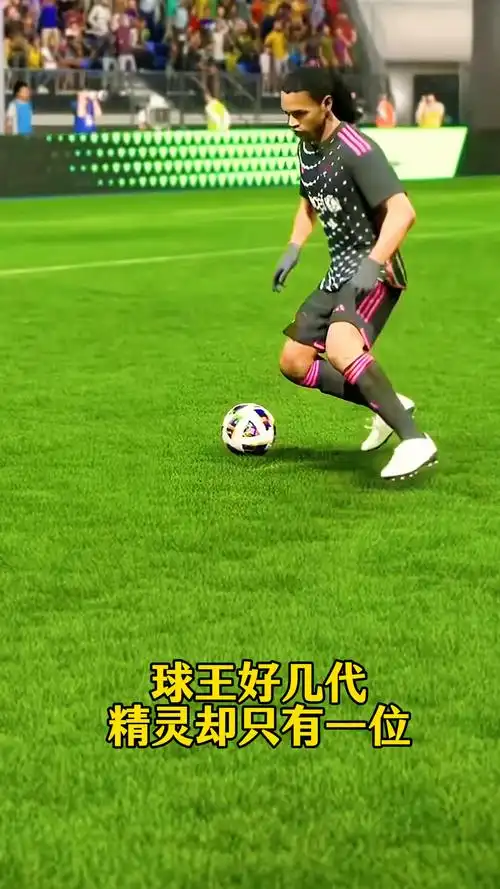 期的阵容建
